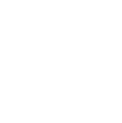 skyy vodka