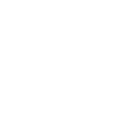 soul gin