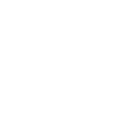 Teresa Rizzi
